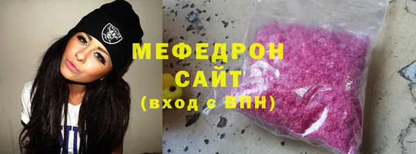 индика Богородицк